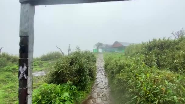 Trekking Valle Dzukou Encuentra Frontera Los Estados Indios Nagaland Manipur — Vídeos de Stock