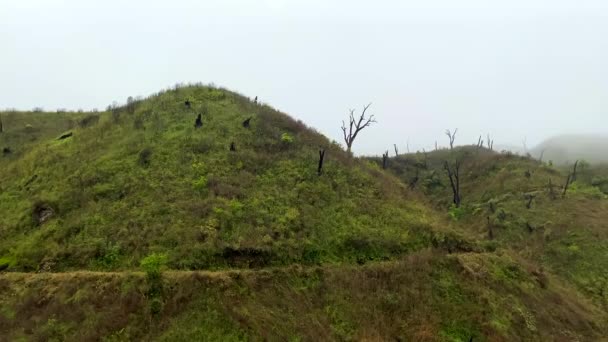 ダムー渓谷 ナガランドの近くの森林火災の後に焼かれた木 ダムー渓谷は ナガランドとマニプールのインドの州境に位置しています — ストック動画