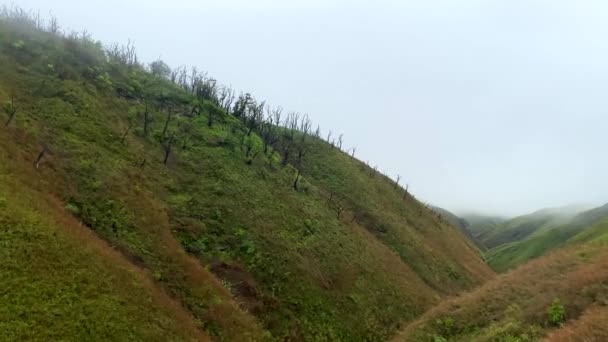 ダムー渓谷 ナガランドの近くの森林火災の後に焼かれた木 ダムー渓谷は ナガランドとマニプールのインドの州境に位置しています — ストック動画