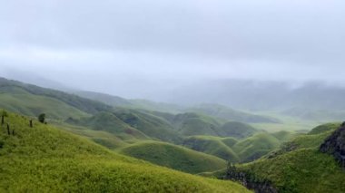 Dzukou Vadisi, Hindistan 'ın Nagaland ve Manipur eyaletlerinin sınırında yer almaktadır. Bu vadi doğal çevresi, mevsimlik çiçekleri, bitki örtüsü ve faunasıyla ünlüdür..