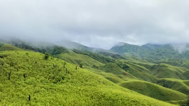 Dolina Dzukou Znajduje Się Granicy Stanów Nagaland Manipur Dolina Jest — Wideo stockowe