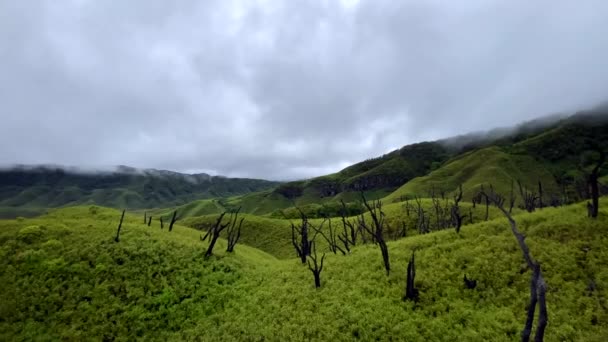 Dolina Dzukou Znajduje Się Granicy Stanów Nagaland Manipur Dolina Jest — Wideo stockowe