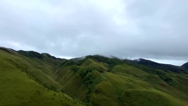 Dzukou Vadisi Hindistan Nagaland Manipur Eyaletlerinin Sınırında Yer Almaktadır Vadi — Stok video
