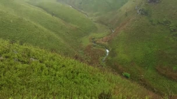 Dzukou Völgy Indiai Nagaland Manipur Államok Határán Található Völgy Természeti — Stock videók
