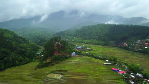 Letecký Výstřel Rýžového Pole Severovýchodě Indie Letecké Zobrazení Krásné Hory — Stock video