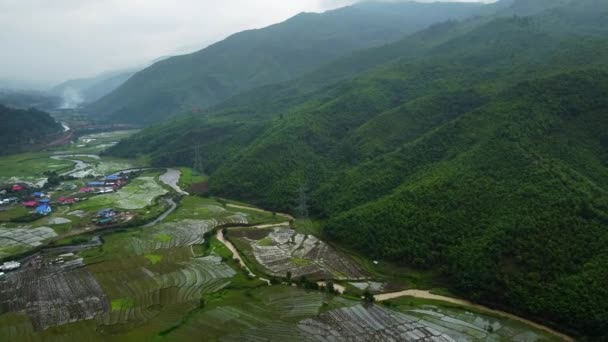 Райс Полевой Воздушный Выстрел Северо Востоке Индии Air Views Beautiful — стоковое видео