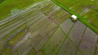Pirinç tarlası Hindistan 'ın kuzey doğusunda çekildi. Kangpokpi Köyü pirinç teraslarındaki güzel dağ evi ve pirinç tarlalarının Mayangkhang Kilisesi Manipur Hindistanı yakınlarındaki Senapati nehri ile 4k hava manzarası..