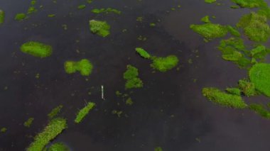 Aerial view Loktak Gölü, Hindistan 'ın en büyük tatlı su gölü ve thanga köyüdür..