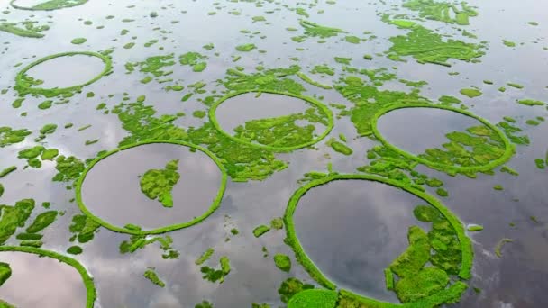 Letecký Pohled Loktak Jezero Největší Sladkovodní Jezero Thanga Vesnice Indii — Stock video