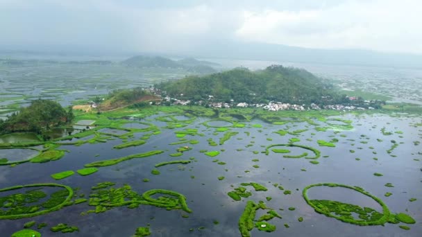 Aerial View Loktak Gölü Hindistan Büyük Tatlı Gölü Thanga Köyüdür — Stok video