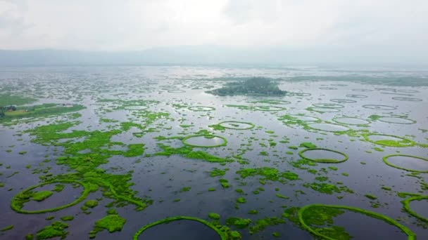 Jezioro Loktak Lotu Ptaka Jest Największym Jeziorem Słodkowodnym Wioską Thanga — Wideo stockowe