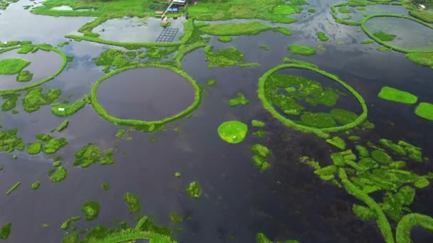Vista Aérea Lago Loktak Maior Lago Água Doce Aldeia Thanga — Vídeo de Stock