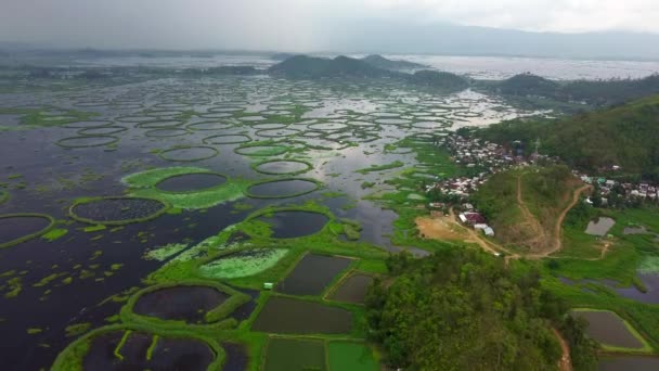 Luftaufnahme Loktak See Ist Der Größte Süßwassersee Und Thanga Dorf — Stockvideo