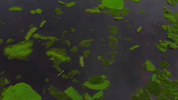 Letecký Pohled Loktak Jezero Největší Sladkovodní Jezero Thanga Vesnice Indii — Stock video