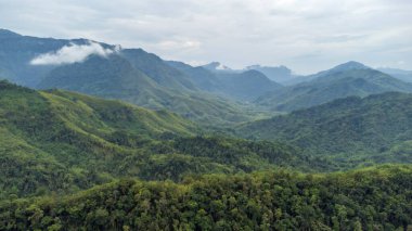 Rengpang köyü yakınlarındaki Nungba 'daki Güzel Dağ Vadisi' nin hava manzarası. Hindistan 'daki Manipur' un doğa manzarası.