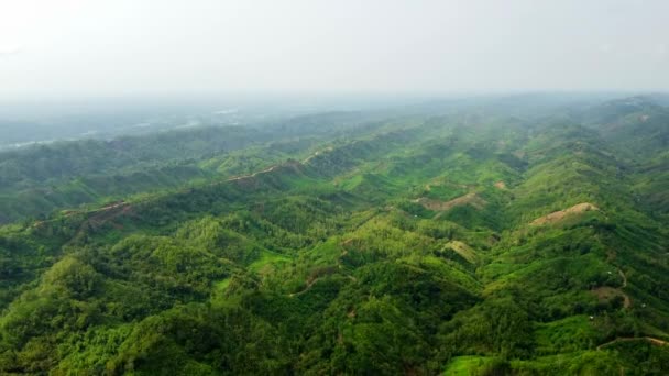 Vista Aérea Belas Colinas Vairengte Mizoram Colinas Verdes Torno Aldeia — Vídeo de Stock