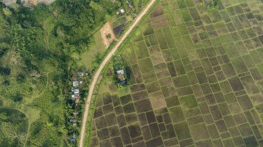 Pirinç tarlası Hindistan 'ın kuzey doğusunda çekildi. Tripura Hindistan 'daki Jalai Köyü' ndeki güzel dağ evi ve pirinç tarlalarının 4k hava manzarası..