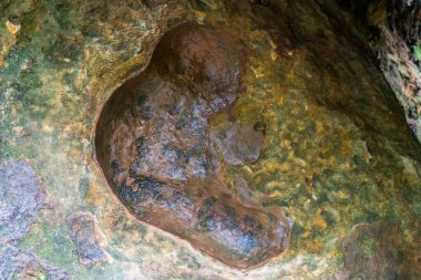 Hindistan, Cherrapunjee 'deki mağara bahçesinde doğal olarak oyulmuş bir anne rahmi..