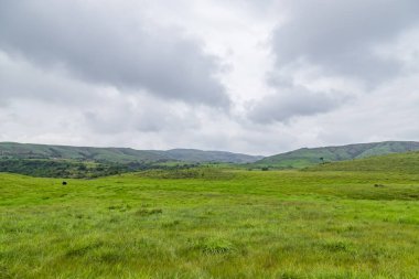 Hindistan 'da Cherrapunji' deki meghalaya manzarası. Hindistan 'ın güzel Cherrapunji meghalaya dağı..