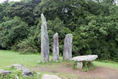 Mawphlang Kutsal Ormanı, Hindistan 'ın Meghalaya şehrinde, Shillong meghalaya ya da lawkyntang yakınlarında yerel khasi halkı tarafından korunan antik bir ormandır..
