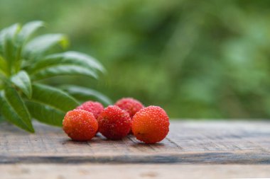 Ormanda Arbutus meyvesi ya da Red Yangmei meyvesi, Kırmızı Bayberry, Yumberry, Yamamomo, iş yolu üzerinde Waxberry.