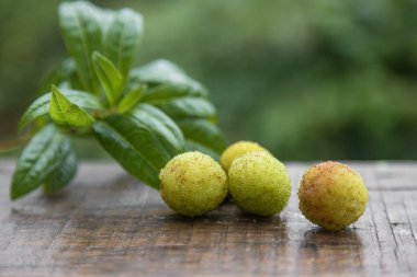 Ormanda Arbutus meyvesi ya da Red Yangmei meyvesi, Kırmızı Bayberry, Yumberry, Yamamomo, iş yolu üzerinde Waxberry.