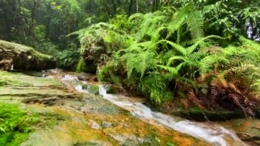 Hindistan, Meghalaya 'daki Laitmawsiang Köyü' ndeki güzel mağara bahçesi..