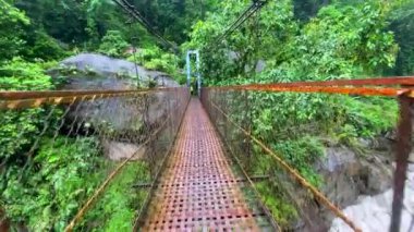 Cherrapunjee meghalaya India 'daki köyde, çift katlı köprüde yaşayan yeni bir kablo köprüsü. Bu köprü, ağaç köklerini birleştirmek için yıllar boyunca eğitim görerek kurulmuştur..