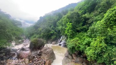 Cherrapunjee meghalaya India 'daki köyde, çift katlı köprüde yaşayan yeni bir kablo köprüsü. Bu köprü, ağaç köklerini birleştirmek için yıllar boyunca eğitim görerek kurulmuştur..