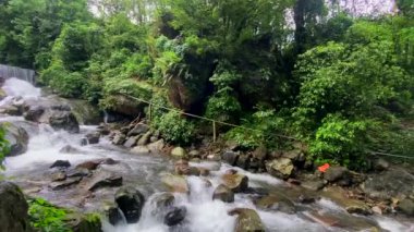 Hindistan 'da Cherrapunjee meghalaya köyünde çift katlı bir köprü. Bu köprü, ağaç köklerini birleştirmek için yıllar boyunca eğitim görerek kurulmuştur..
