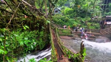 Cherrapunjee, meghalaya Hindistan 2 Haziran 2024. Hindistan 'da Cherrapunjee meghalaya köyünde çift katlı bir köprü. Bu köprü, ağaç köklerini birleştirmek için yıllar boyunca eğitim görerek kurulmuştur..