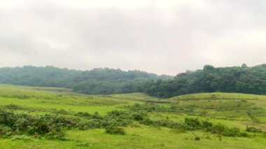 Mawphlang Kutsal Ormanı ya da Lawkyntang, Hindistan 'da Shillong Meghalaya yeşil yosunlu ormanı yakınlarında yerel Khasi halkı tarafından korunan antik bir ormandır..