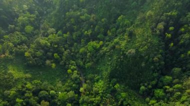Hindistan 'daki Meghalaya Ormanı ve Sonapur Nehri' nin havadan görünüşü. Meghalaya Hindistan 'daki güzel kuliang dağı..