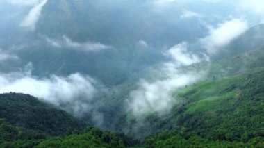 Hindistan 'daki Meghalaya Cherrapunji Mawsynram Ormanı' nın havadan görünüşü. Meghalaya Hindistan 'daki Doğu Khasi tepelerinin güzel dağı..
