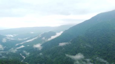 Hindistan 'daki meghalaya cherrapunji-mawsynram ormanının havadan görünüşü. Hindistan 'ın doğusundaki Khasi tepelerinin güzel dağı..