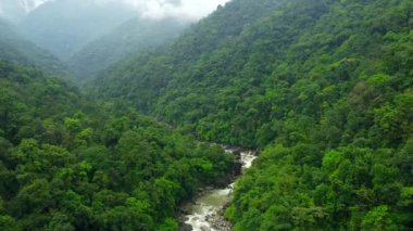 Hindistan 'daki meghalaya cherrapunji-mawsynram ormanının havadan görünüşü. Hindistan 'ın doğu Khasi tepelerinin güzel dağları ve nehirleri..
