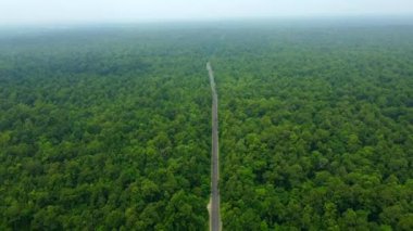  Bayarban Nepal 'de ormanın ortasındaki karayolunun havadan görünüşü.