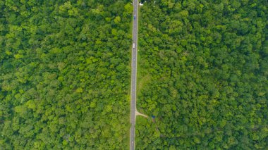  Bayarban Nepal 'de ormanın ortasındaki karayolunun havadan görünüşü.