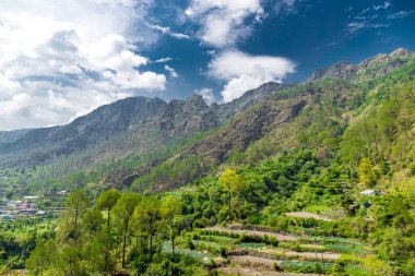 Nainital 'in Nainital ilçesi Orman CD bloğunda ve Nainital tehsil' de Smanora Range Village 'ın güzel manzarası bulunmaktadır. uttarakhand, Hindistan