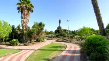 Haryana, Hindistan 24 Haziran 2022. Ulusal kaktüs ve sulu botanik bahçesi ve araştırma merkezi Panchkula Haryana Hindistan 'daki kaktüs bahçesi olarak bilinir..