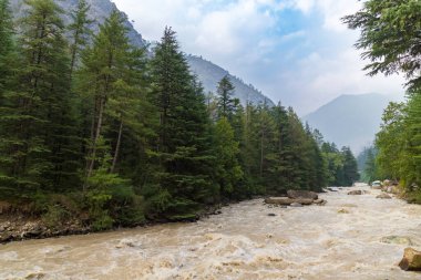 Kasol, Himachal Pradesh, Hindistan 'daki Parvati Nehri Vadisi' nin güzel manzarası..
