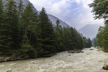 Kasol, Himachal Pradesh, Hindistan 'daki Parvati Vadisi tepelerinde yuva yapmış küçük bir köy..