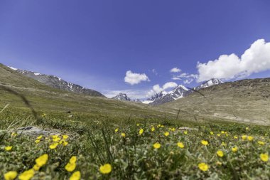 Himalaya Dağları, Hindistan 'daki Dhar Sidhud, Gramphu-batal-kaza yolu Himachal Pradesh' deki Spiti Vadisi 'ne bakıyor..