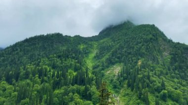 Himachal Pradesh Hindistan 'daki Jogini şelalesi yakınlarındaki Manali ve Beas nehirlerinin dağ ve vadilerinin manzarası.