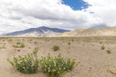 Beautiful landscape with mountains at Pampakarule and Sango Plain, near Hanle village in Ladakh, situated on the border with India and China, Leh, Ladakh, India. clipart