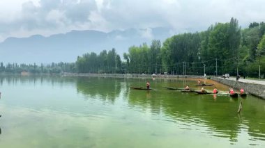 Srinagar, Kashmir, Hindistan 20 Temmuz 2022. Yazın Dal Gölü alg temizleme süreci ve Hindistan 'ın Srinagar, Kashmir kentindeki arka plandaki güzel dağ sıraları..