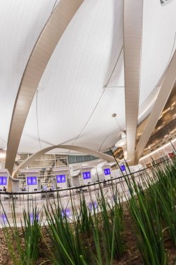 Abu Dabi, Birleşik Arap Emirlikleri, 16 Temmuz 2024. Zayed Uluslararası Havalimanı, Etihad Havayolları 'nın merkezi olarak hizmet veren modern A Terminali ile Abu Dhabis' in ana havaalanıdır..