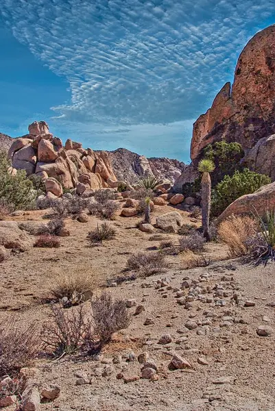 Kanyona giriş, Joshua Tree Ulusal Anıtı