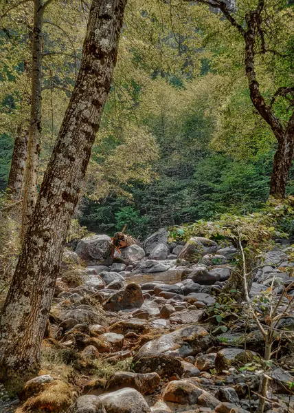 Mutlu Ada, Yosemite Ulusal Parkı 'ndaki dere yatağı.