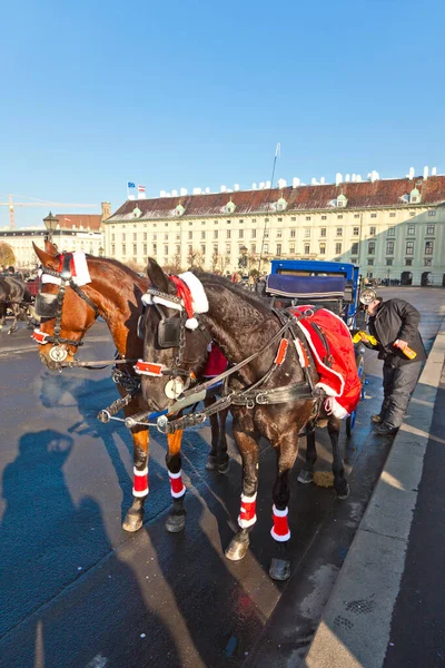 奥地利维也纳 2010年11月27日 在奥地利维也纳 火焰杯司机被打扮成圣诞老人 在维也纳 共有144个领有执照的火烧炉 司机需要特别执照才能使用 — 图库照片